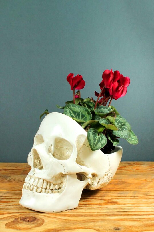 Nádoba na drobné predmety Luckies of London Skull Tidy SK.TIDYSKULL1