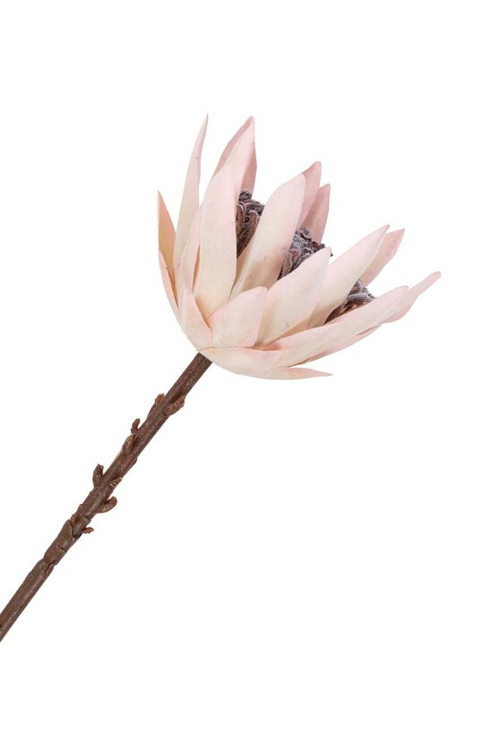 Living și dormitor House Nordic flori artificiale King Protea Bouquet 9501160 multicolor