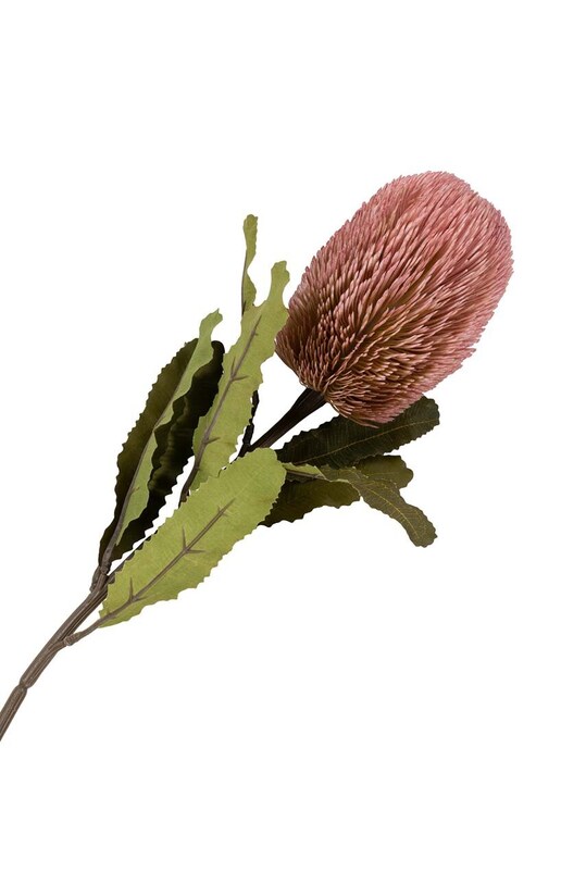 Salon i sypialnia House Nordic sztuczne kwiaty King Protea Bouquet 9501150 multicolor
