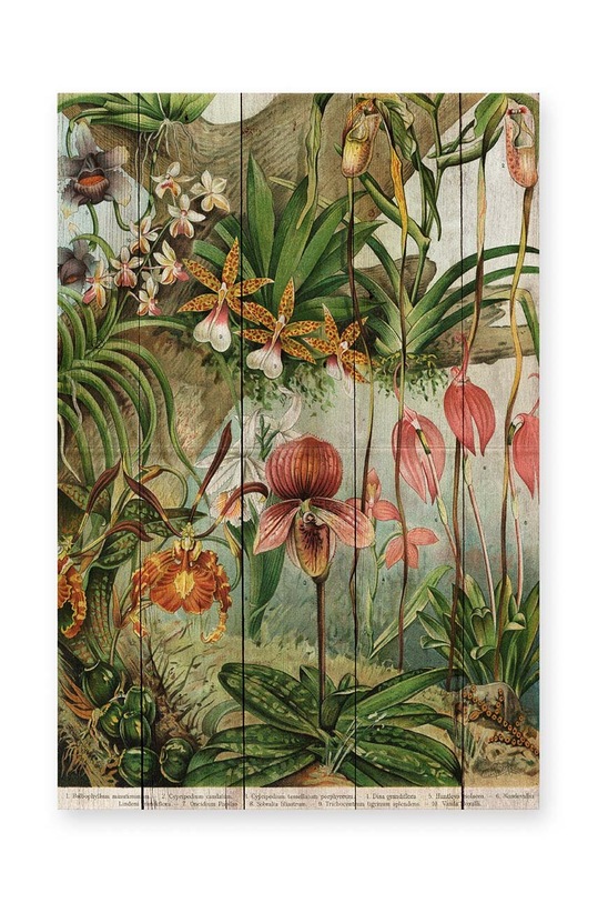 Madre Selva dekoracja ścienna Jungle Flowers multicolor 1326282