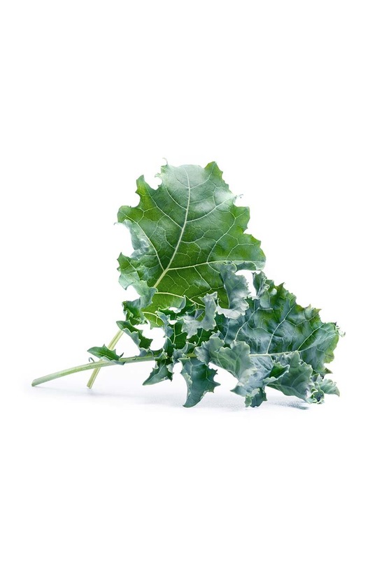 Вставка з насінням Veritable VLIN.J10.Cho048 барвистий AA00