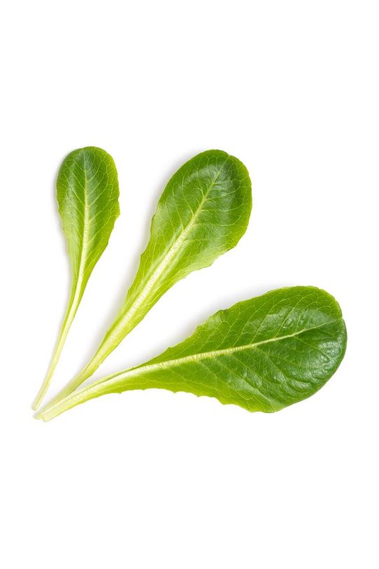 Náplň so semienkami Veritable Sałata rzymska VLIN.J10.Lai050 viacfarebná AA00