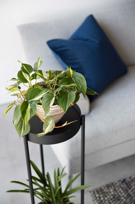 Dnevna soba in spalnica Stojalo za rastline Yamazaki Tower 4367 črna