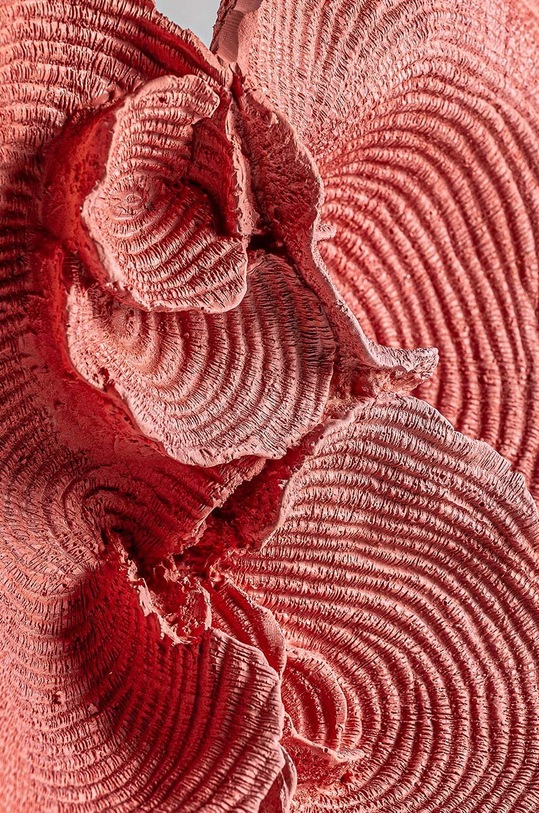 Διακοσμητικό Vical Arrecife 31616 ροζ AA00