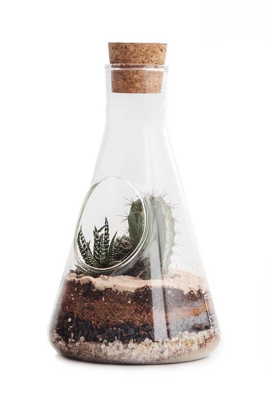 Террариум для растений Luckies of London мультиколор SK.TERRCHEM1