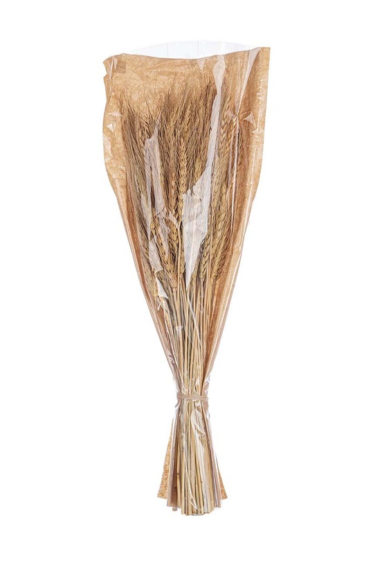 Bizzotto tulpini uscate Farrah multicolor 171834