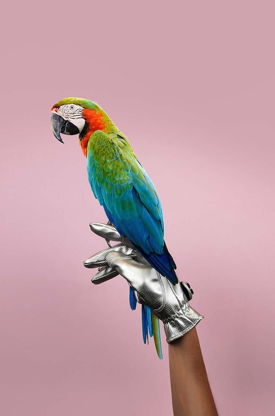 Záhradné rukavice Garden Glory Glove Silver Bullet L 100.GG sivá AA00