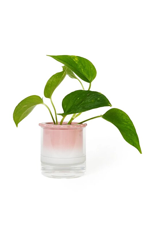 Helio Ferretti vază hidroponică Celestina multicolor 122488