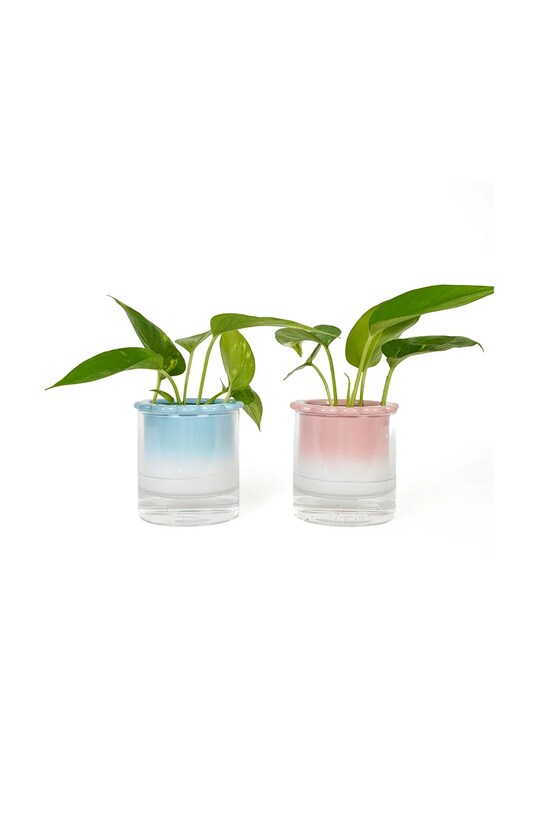 Helio Ferretti vază hidroponică Celestina 122488 multicolor AA00