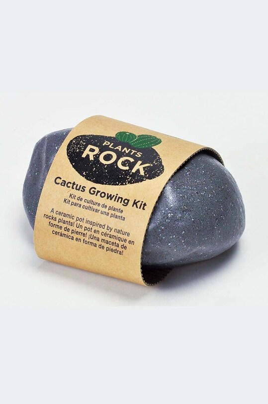 Noted set pentru cultivarea plantelor Plants Rock - Cactus gri GD807EU