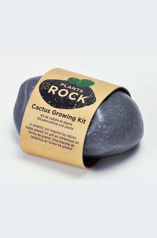 Набор для выращивания растений Noted Plants Rock - Cactus серый GD807EU