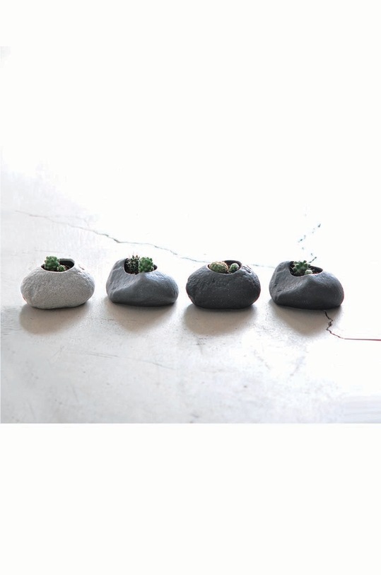 Лайфстайл Набор для выращивания растений Noted Plants Rock - Cactus GD807EU серый