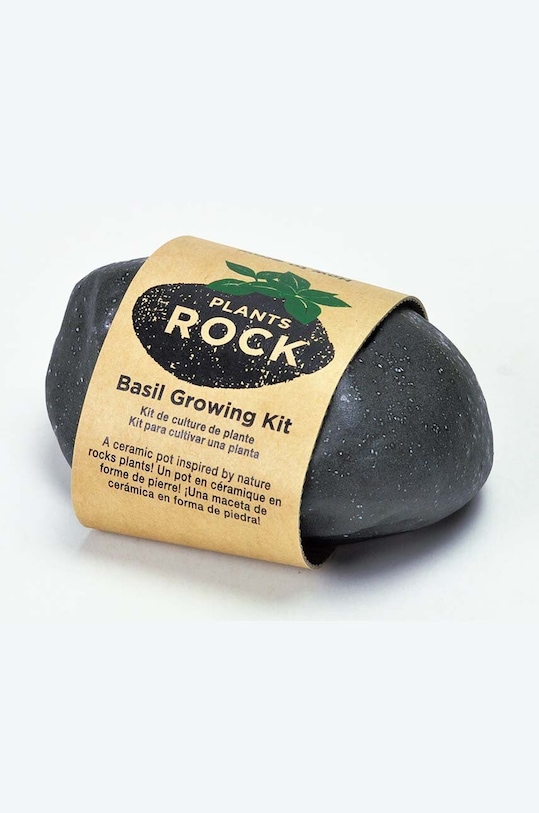 Набір для вирощування рослин Noted Plants Rock - Basil чорний GD806EU