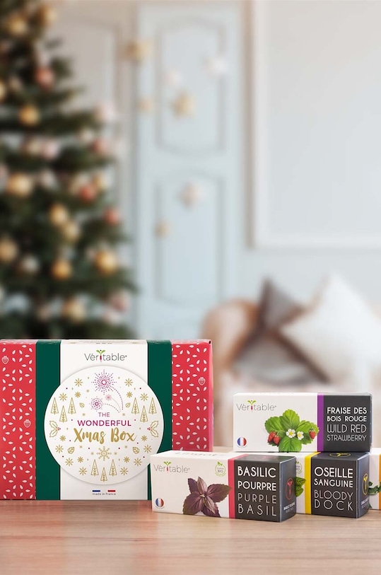 Living și dormitor Veritable un set cadou pentru cultivarea plantelor Christmas Box 5-pack KIT.XMASLING.FREN.44 multicolor