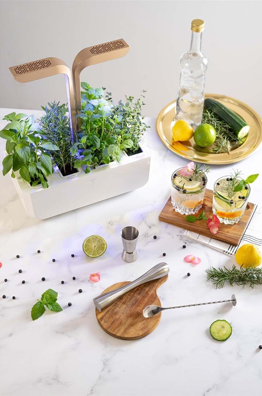Dnevni boravak i spavaća soba Poklon set za uzgajanje začina Veritable Cocktail Gift Set KIT.COCKLING.EU.74 šarena