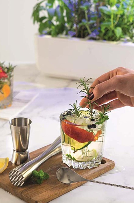 Poklon set za uzgajanje začina Veritable Cocktail Gift Set šarena KIT.COCKLING.EU.74