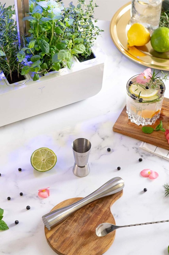 Poklon set za uzgajanje začina Veritable Cocktail Gift Set KIT.COCKLING.EU.74 šarena