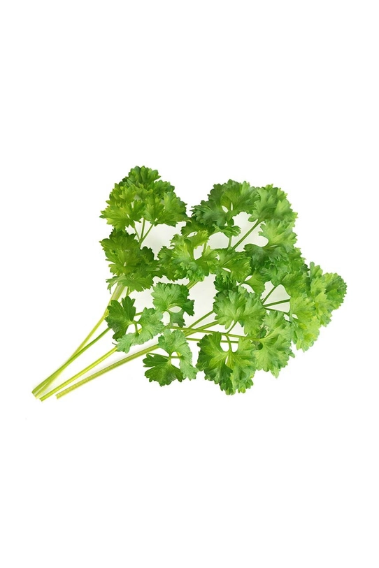 Ένθετο σπόρων Veritable Curly Parsley VLIN.A10.Per028 πολύχρωμο AA00