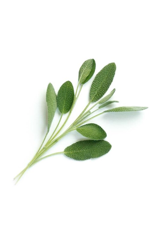 Посевной вкладыш Veritable Sage VLIN.A10.Sau00B мультиколор AA00