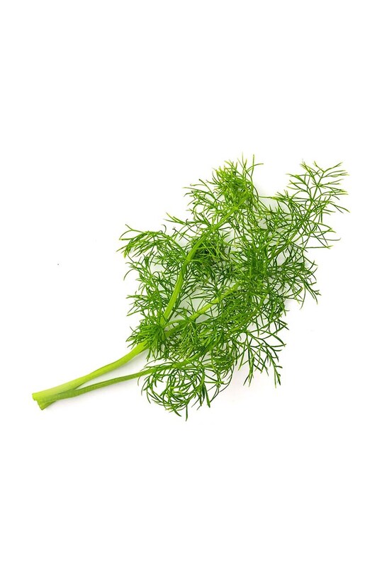 Náplň so semienkami Veritable Fennel VLIN.O10.Fen043 viacfarebná AA00
