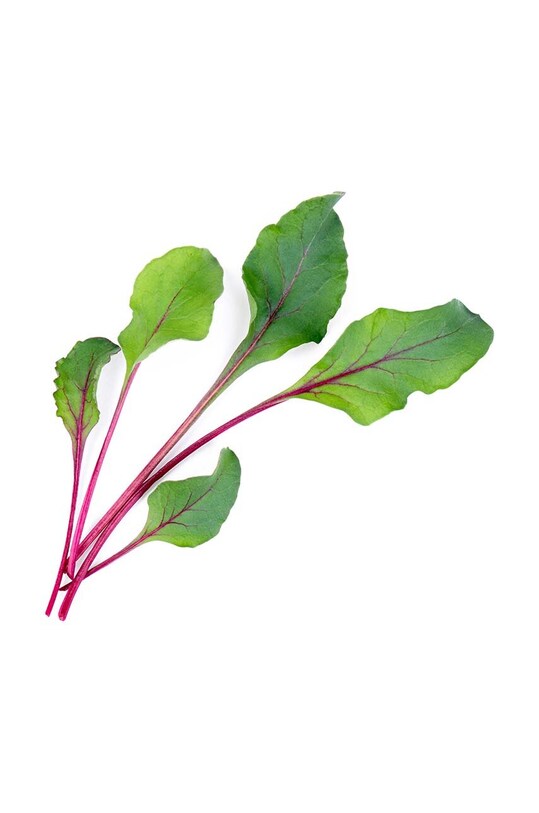 Вставка з насінням Veritable Beet Greens VLIN.J10.Bet022 барвистий AA00