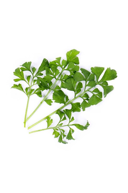 Вставка з насінням Veritable Watercress VLIN.J10.Cre024 барвистий AA00