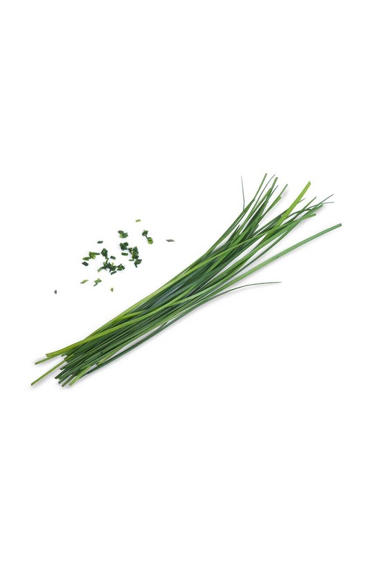 Veritable wkład nasienny Chinese Chives VLIN.S10.Cib02F multicolor AA00
