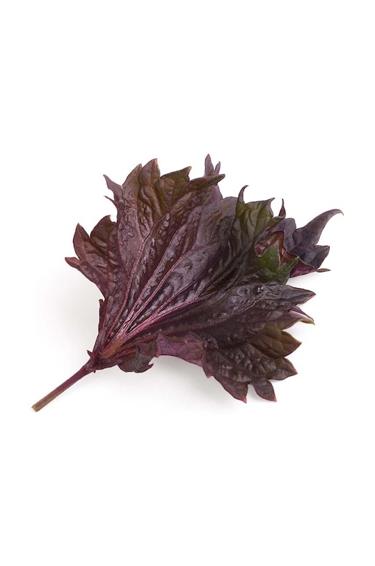 Veritable insertie de seminte Pachnotka Czerwona VLIN.S5.Shi033 multicolor AA00