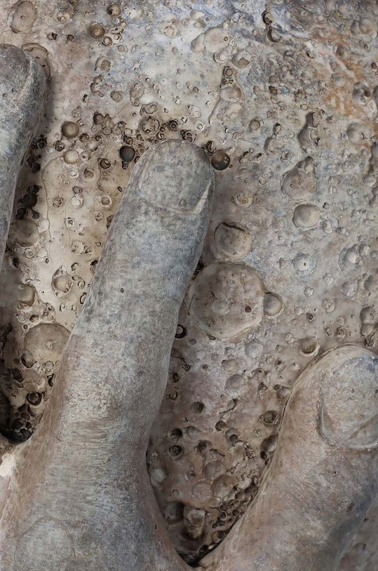 Salon i sypialnia osłonka na doniczkę XET.9696 multicolor