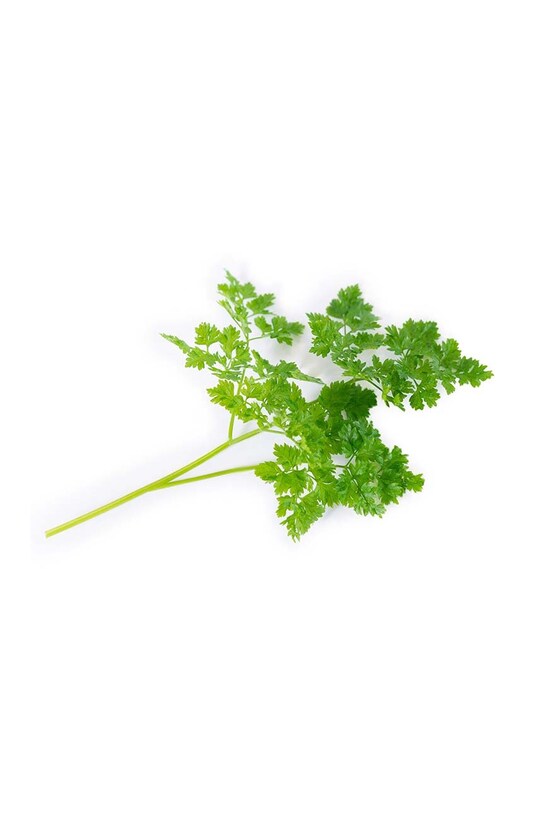 Вставка з насінням Veritable Chervil VLIN.O10.Cer05C барвистий AA00