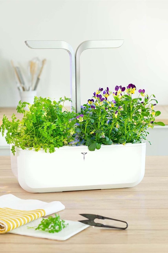 Living și dormitor Veritable insertie de seminte Chervil VLIN.O10.Cer05C multicolor