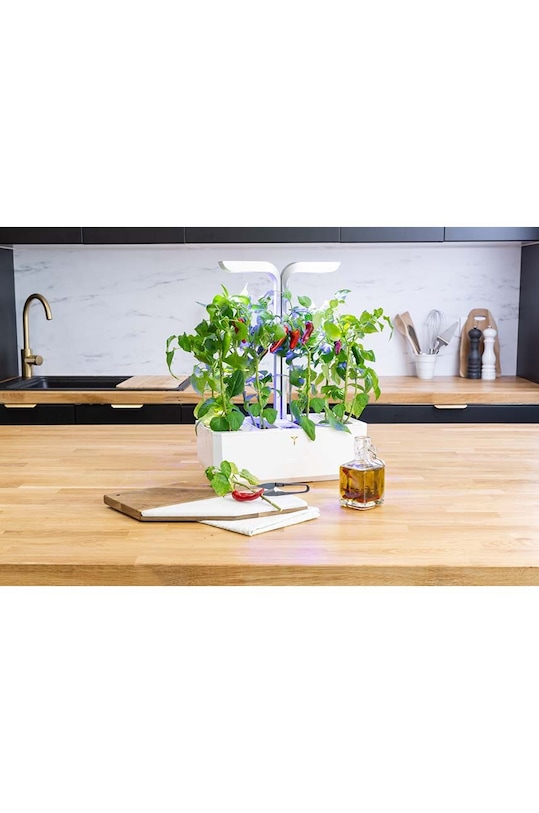 Living și dormitor Veritable insertie de seminte Espelette Chili VLIN.L5.Pim060 multicolor