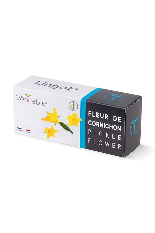 Veritable insertie de seminte Pickle Flower multicolor VLIN.L5.Cor061