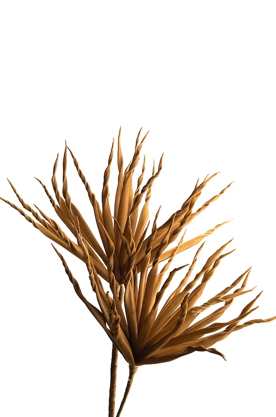 Искусственное растение home & lifestyle оранжевый 159418