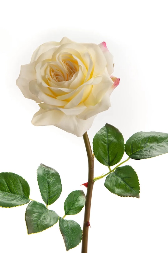 Umělá květina home & lifestyle vícebarevná 155856