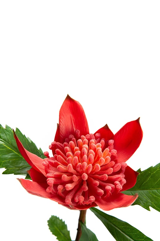 Umělá květina home & lifestyle vícebarevná 151704