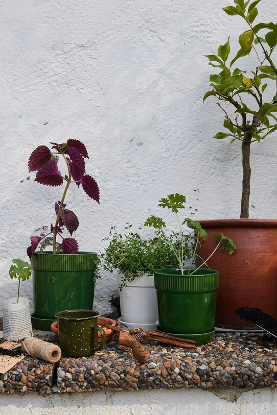 Obývací pokoj a ložnice Květináč Sagaform Elise 5018394 zelená