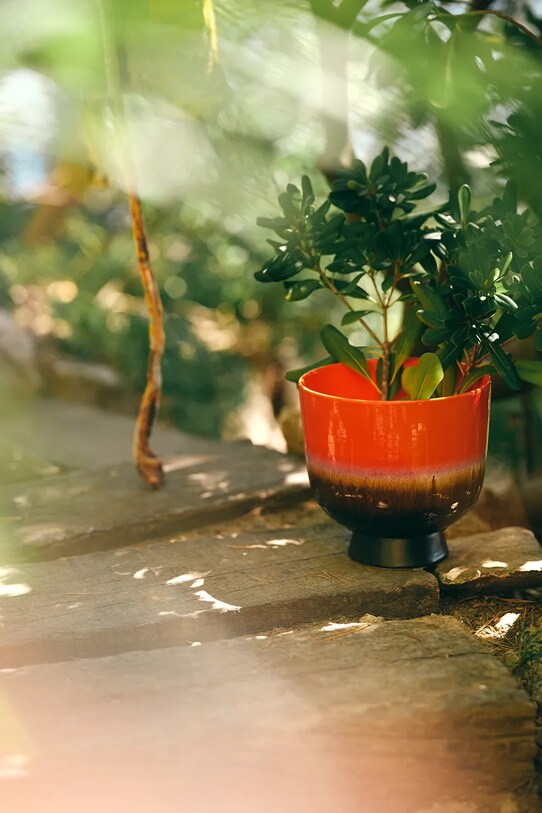 Підставка для квіткового горщика Hkliving Retro AFC0002 барвистий