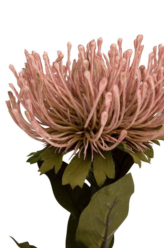 Штучна квітка Present Time Protea Flower L PT3905LP барвистий AA00