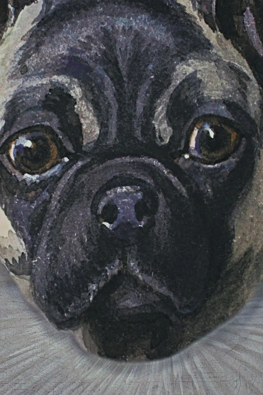 home & lifestyle decoratiune de perete XET.8062 multicolor AA00