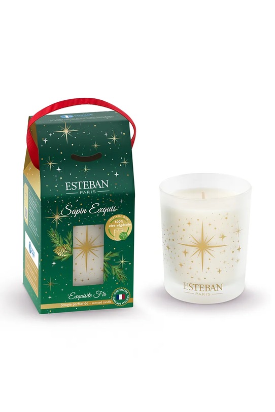 Ароматизована свічка Esteban Exquisite Fir 180 g барвистий ELN.144
