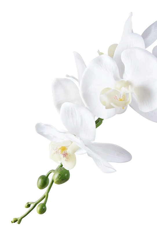 Штучна рослина в горщику House Nordic Orchid 9501003 зелений AA00