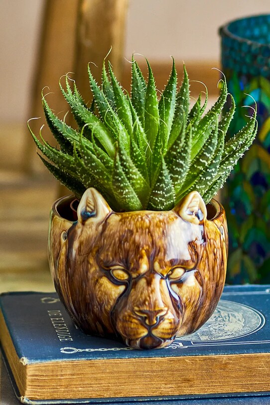 Вітальня та спальня Горщик Bloomingville 13 x 9,5 x 11,5 cm 82061849 коричневий