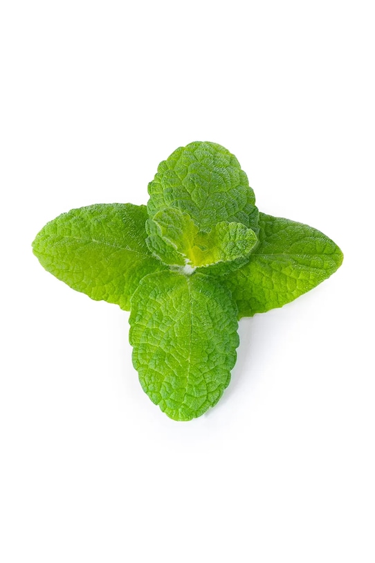 Veritable insertie de seminte Mięta Jabłkowa VLIN.O10.Men057 multicolor AA00