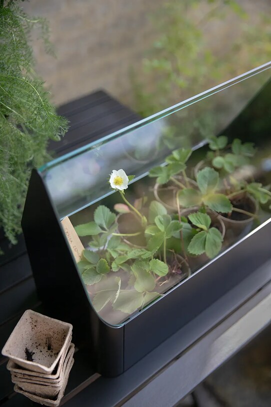 Eva Solo mini szklarnia Simply Grow Mini Greenhouse 32 x 42 x 20 cm czarny 741010015