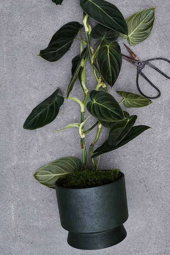 Rosendahl osłonka na doniczkę 19 cm 20622. zielony AA00