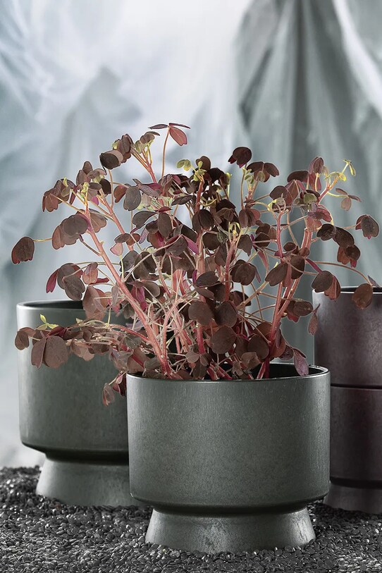 Salon i sypialnia Rosendahl osłonka na doniczkę 19 cm 20622. zielony