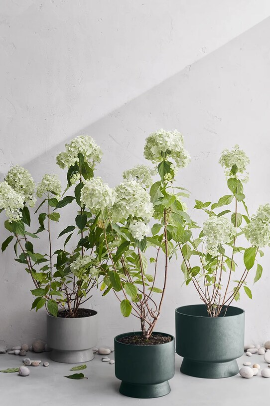 Salon i sypialnia Rosendahl osłonka na doniczkę 30 cm 20624. zielony