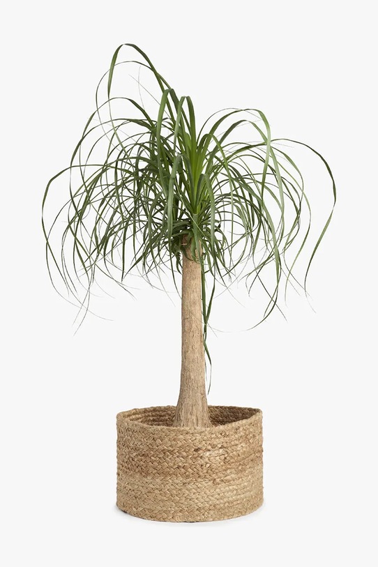 Calma House osłonka na doniczkę dekoracyjna jutowa 32 x 20 cm URAL.32.NAT beżowy AA00