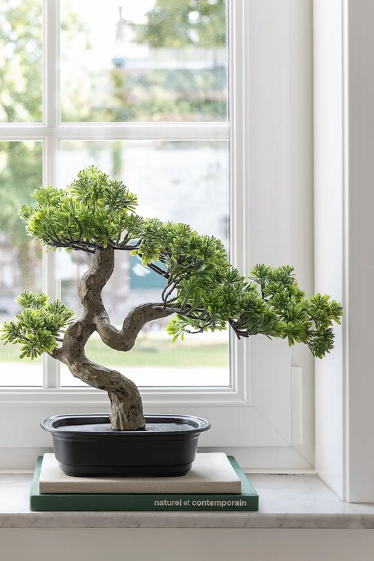Nappali és hálószoba J-Line cserepes mű fa Podocarpus Bonsai 44012 többszínű